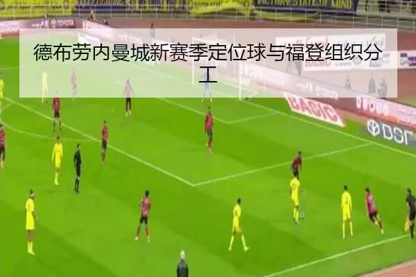 de-bu-lao-nei-man-cheng-xin-sai-ji-ding-wei-qiu-yu-fu-deng-zu-zhi-fen-gong-2-533.jpg