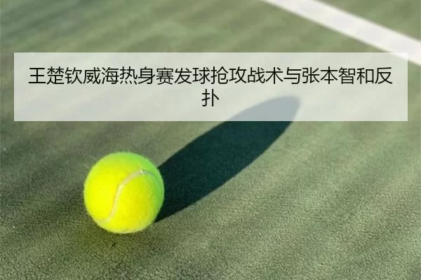 wang-chu-qin-wei-hai-re-shen-sai-fa-qiu-qiang-gong-zhan-shu-yu-zhang-ben-zhi-he-fan-pu-3-286.jpg